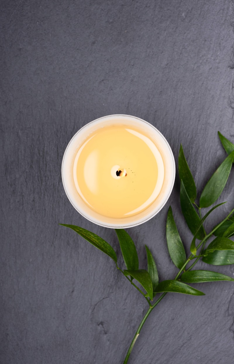 Soy Candle — Cedar & Sandalwood